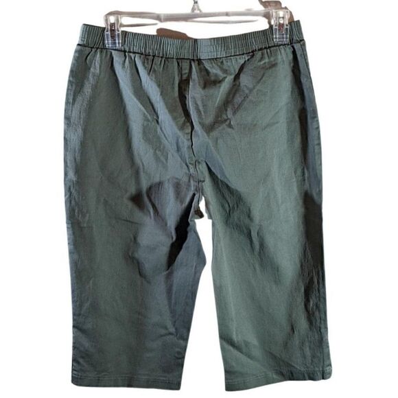 NWT D & Co Denim Company Olive Denim Shorts Woman's L - Picture 4 of 4